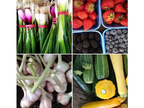 The James Bay Community Market is in full swing! Come Down July 18th – 9 am to 3 pm