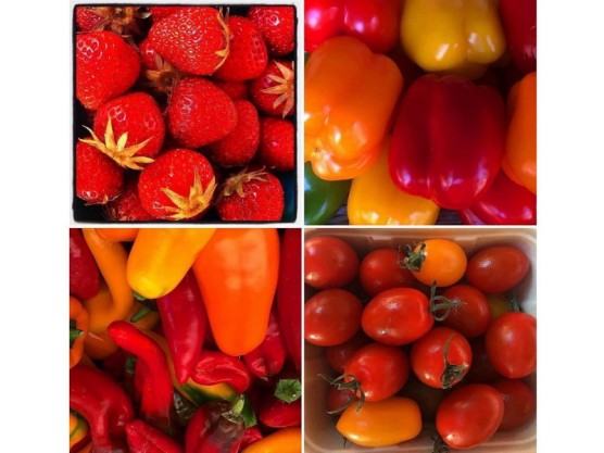 James Bay Community Market – June 27th – 9 am to 3 pm