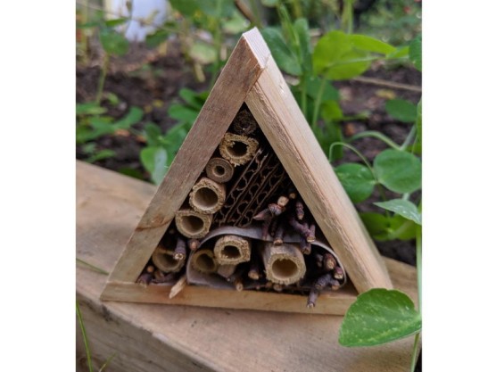 Children’s Tent activity this Saturday – Make a Bug Hotel!