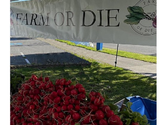 James Bay Community Market Vendor Profiles – Farm or Die